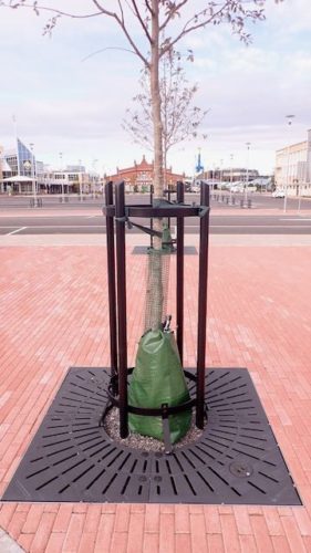 HA13K, Classico 2.0Q CLQ1507, HA22, Treegator Original, Turku