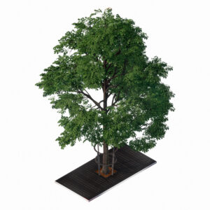 Juurisuojaritilä Lateral LAR200400 ja puun runkosuoja Haveno Kasvu 680