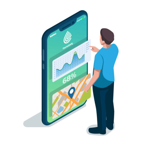 Plantobellyn käyttöliittymä