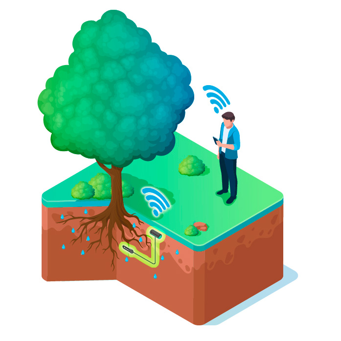 Plantobellyn asennus ja käyttö