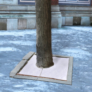 Salfix-suolasuoja asennettuna puun juurelle