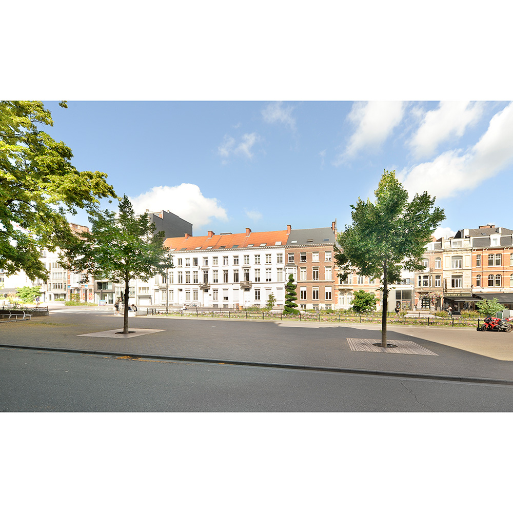 TreeParker-kasvualustajärjestelmän asennus