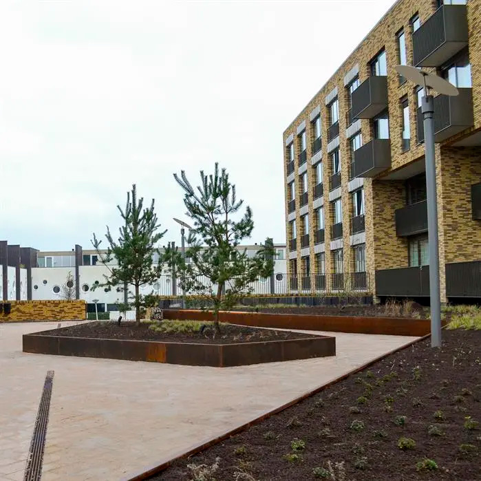 Asuinalueen laaja piha-alue, jossa istutusalueet rajattu kapeilla suorilla corten-teräksisillä reunatuilla, havupuita istutettuina.