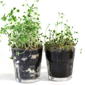 Lite-Cubes Bio 5 -kastelukuutiot