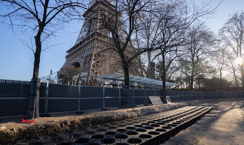 Eiffel-tornin alueen puut