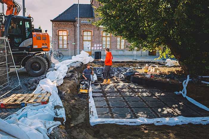 Massemenin kylätorin 450-vuotias lehmus