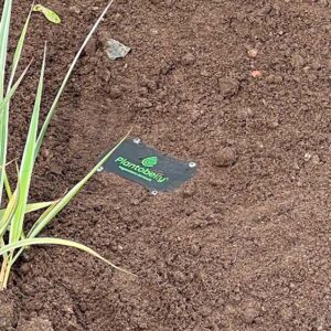 Plantobelly-kosteusanturin asennus Vallilan puistossa Helsingissä