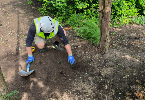 Plantobelly-kosteusanturin asennus Vallilan puistossa Helsingissä