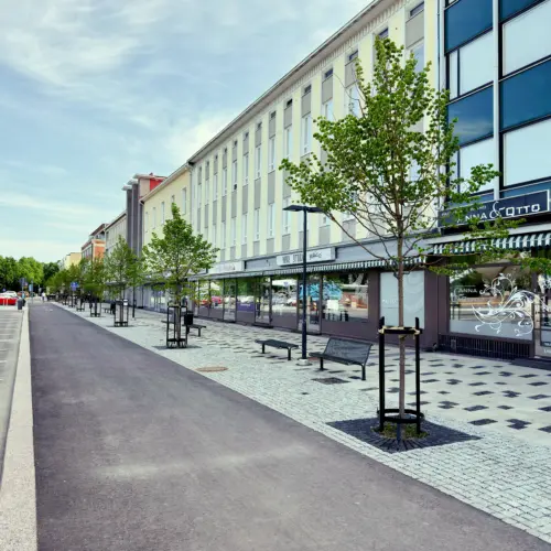 Katupuuistutus Horninkatu Salo