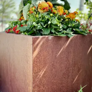 Corten-istutusastia