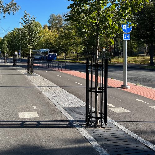 lateral kapea nuolialantie 3