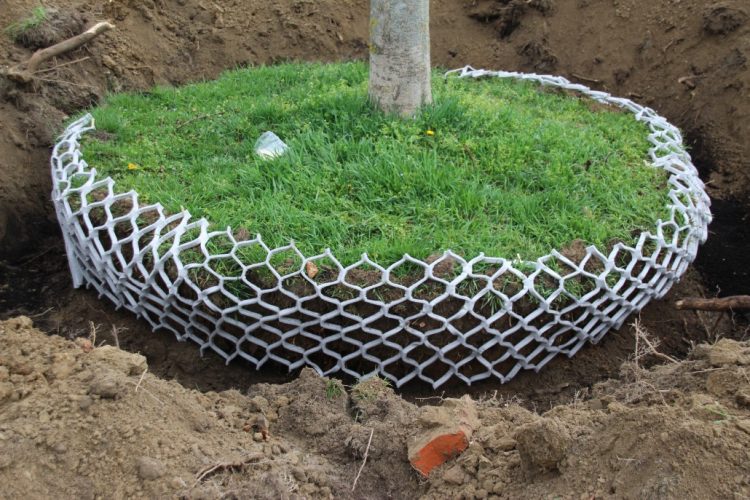 LITE-NET Bio -juuripaakkuverkko